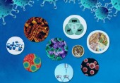 23rd Iran’s Int’l Congress of Microbiology to be held in person