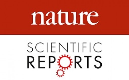 چاپ مقاله عضو هیئت علمی دانشگاه علم و فرهنگ در مجله Scientific Reports از انتشارات Nature