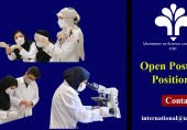 Recruitment of Non-Resident Iranian Postdoctoral Researchers at the University of Science and Culture for the Year 2023-2024